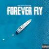 Forever Fly (Explicit) - NojokeJigsaw