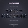 Cycle Breaker - Mohig