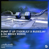 Pump It Up (Tigerlily, Rudeejay, Da Brozz Remix) - Danko&Tigerlily&Rudeejay&Da Brozz