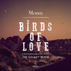 Birds Of Love (The Galaxy Remix) - Monn