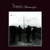 Sunrise - Trees