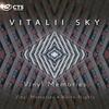 Vinyl Memories - Vitalii Sky