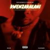 Kwenzakalani(feat. IAMME) (Explicit) - SpheBeatzWrld&IAMME