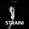 Straini (feat. Berechet) - 2l4y3r&Berechet