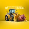 Bulldozer (feat. Multiszn) (Explicit) - F1oridadrip&Multiszn