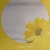 Fragile Heart - Al Dean