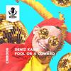 Fool Or A Coward (Dasmokin'frogz Remix) - Deniz Kabu