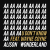 U Don't Know (Daktyl Remix) - Alison Wonderland&Wayne Coyne&Daktyl