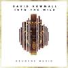 Into The Wild (Original Mix) - David Howmall