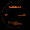 Fuzzy Logic (Edit) - Pangaea