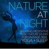 Night Secrets - Nature Tribe