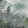 风缘 - 檀卿卿