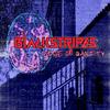 Bear - Blackstripes