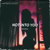 NOT INTO YOU - RAEYA