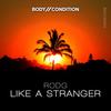 Like A Stranger (Original Mix) - Rodg