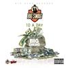 10 a Day (Explicit) - Big Swag