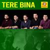 Tere Bina - 4 Musics