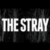 Love in Violence(feat. Since Today, Poli, João Brito & Trinchas) - The Stray&Poli&joão brito&Trinchas&Since Today