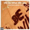 We Do What We Like (Original Extended Mix) - Andrew Fields&Steven Liquid