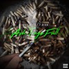 How Many(feat. Dynasti) (Explicit) - Ray West&T-Bear&Dynasti