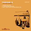 What It Used to Feel Like(Main Personal Feel) - Trevor G