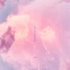 Paradise - Tobias Dray