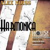 Harmonica House (Original Version) - Alex Noiss