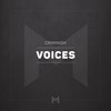 Voices - Criminish