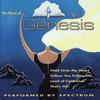 Never A Time - Spectrum