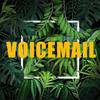 Voicemail - D'ay&Dminor&Ivandro
