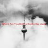 Where Are You(B.o.B. vs Bobby Ray)(Karaoke tribute version originally performed by B.o.B) (clean) - B.o.B