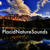 Natural Waters - Rest&Relax Nature Sounds Artists