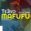 Mafufu (Explicit) - TE3VO&Collin Ceezy