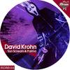 Palma (Original Mix) - David Krohn