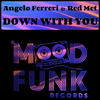 Down With You (Radio Edit) - Angelo Ferreri&Red Met