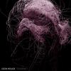 Tesseract - Leon Rouge