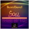 Intro (Voice of The Soul) (Original Mix) - BloodDropz!