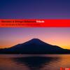 Tribute (Kazusa Remix) - Stendahl&Shingo Nakamura&Kazusa