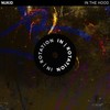 In The Hood - NuKid