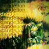 Dandelion - Drea&Bray