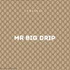 MR BIG DRIP (Explicit) - Skaiblu