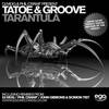 Tarantula (DJ Mog Remix) - Tatoe