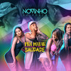 Pra Matar a Saudade - MC Novinho da Praça