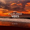 Sunset Summer Vibes (Explicit) - VDJ WIZKEL&Dj Wizkel