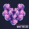 What You Like(feat. Kwesta & Kyle Deutsch) - DJ Capital&Kwesta&Kyle Deutsch