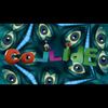 Collide - Asaf Fulks