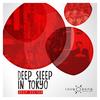 Deep Sleep in Tokyo - Deep Sector