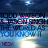 The World As You Know It (Luke Chable's Size 9 Mix) - todd watson&Jason Singh