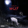 Wolf (Explicit) - TheRealPIT&RBR Drakko