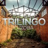 Luzoba (Zentrix Remix) - Zentrix&Trilingo